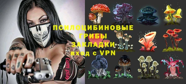 тгк Касимов
