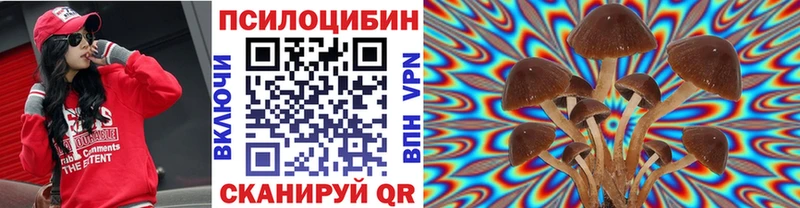 Купить закладки  Новоаннинский  Галлюциногенные грибы прущие грибы 